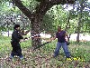 rise (048).jpg